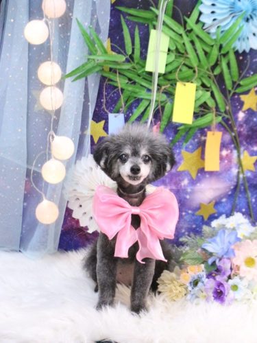 20250709ヒナちゃん